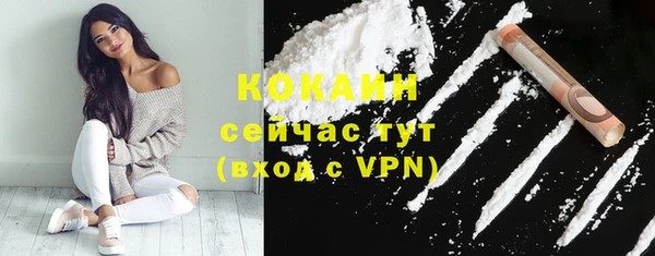 твердый Бронницы