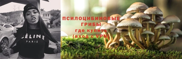 mix Бородино