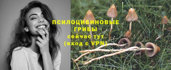 бутират Верхний Тагил