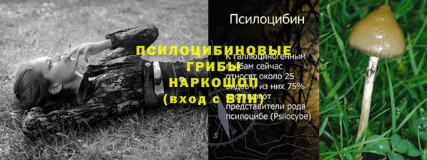 первитин Бугульма