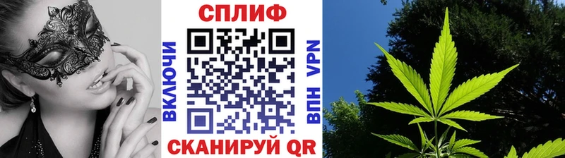 Бошки марихуана OG Kush  Калуга 